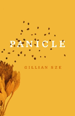 Book cover for Panicle