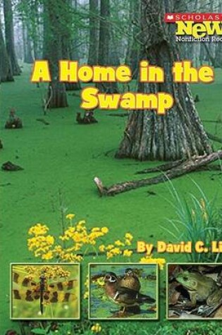 Cover of A Home in the Swamp