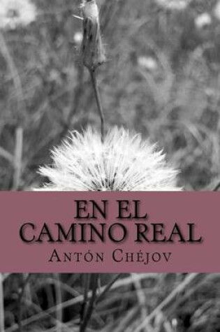 Cover of En El Camino Real