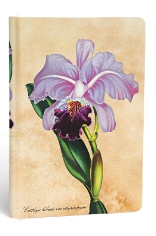 Cover of Brazilian Orchid Mini Unlined Hardcover Journal