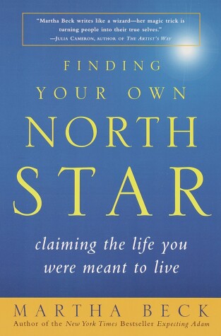 Book cover for Finding Your Own North Star