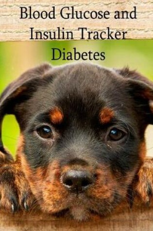 Cover of Blood Glucose and Insulin Tracker - Diabetes