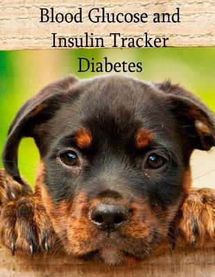 Book cover for Blood Glucose and Insulin Tracker - Diabetes