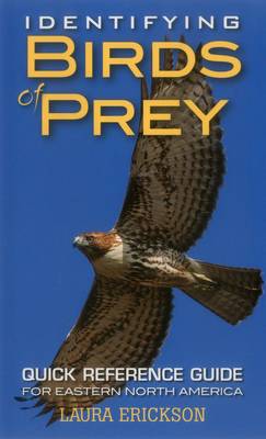 Book cover for Identifying Birds of Prey