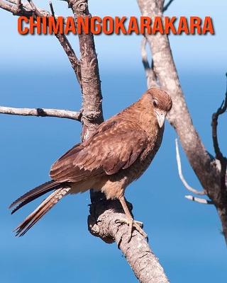 Book cover for Chimangokarakara