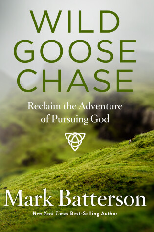 Cover of Wild Goose Chase