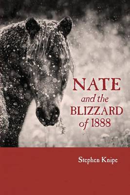 Book cover for Nate and the Blizzard of 1888