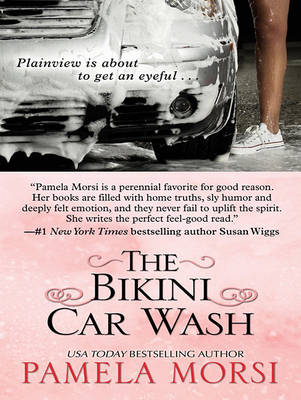 Book cover for The Bikini Car Wash