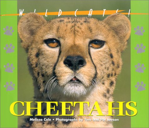 Book cover for Cheetahs