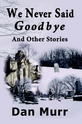 Book cover for We Never Said Goodbye