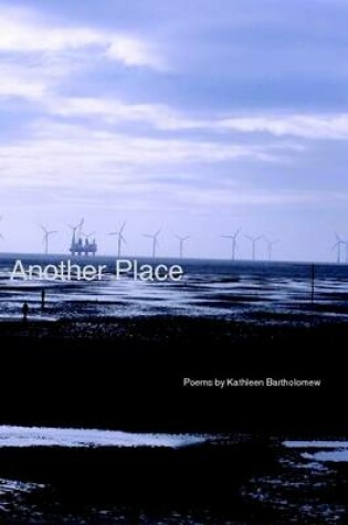 Cover of Another Place