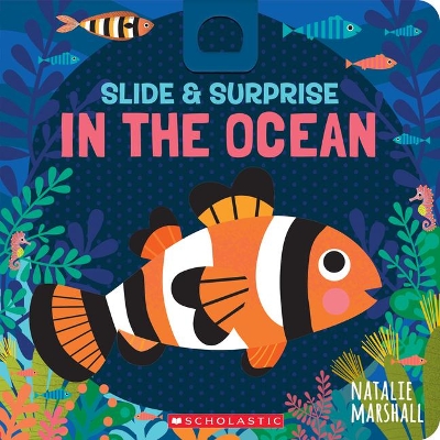 Book cover for Slide & Surprise in the Ocean