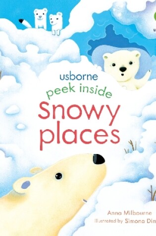 Cover of Peek Inside Snowy Places