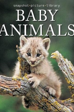 Cover of Baby Animals