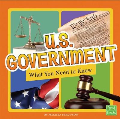 Book cover for U.S. Government: What You Need to Know (Fact Files)