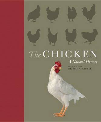 Book cover for The Chicken