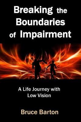 Book cover for Breaking the Boundaries of Impairment