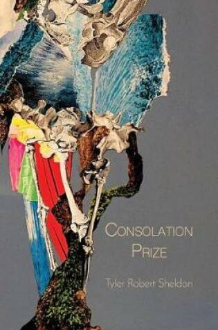 Cover of Consolation Prize