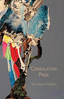 Book cover for Consolation Prize