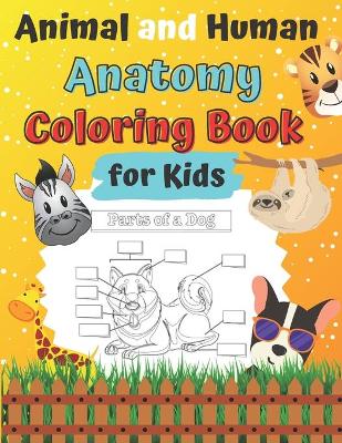 Book cover for Animal and Human Anatomy Coloring Book for Kids