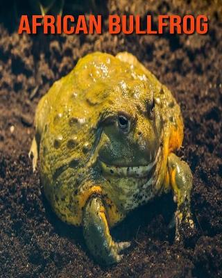 Book cover for African Bullfrog