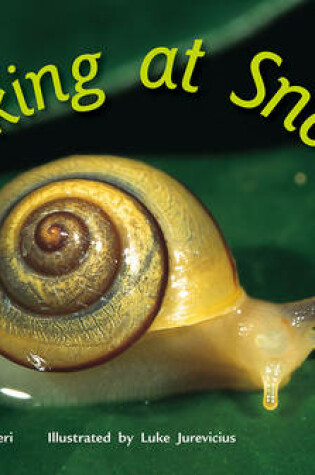 Cover of Looking at Snails