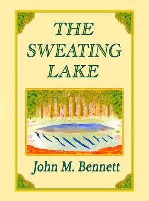 Book cover for The Sweating Lake