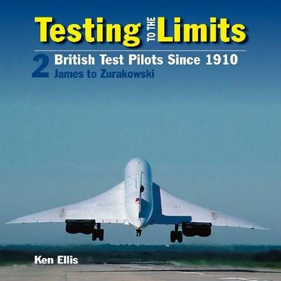 Book cover for Testing to the Limits