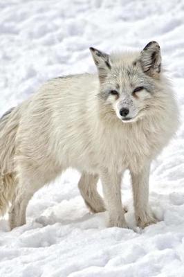 Book cover for White Arctic Fox in the Snow Journal