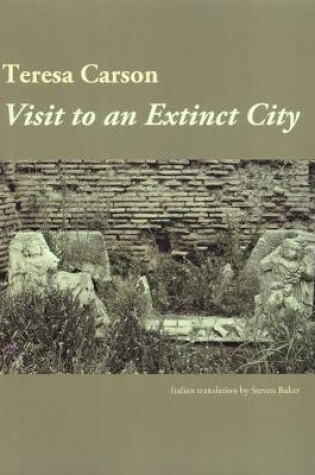 Cover of Visit to an Extinct City