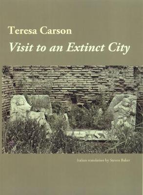 Book cover for Visit to an Extinct City