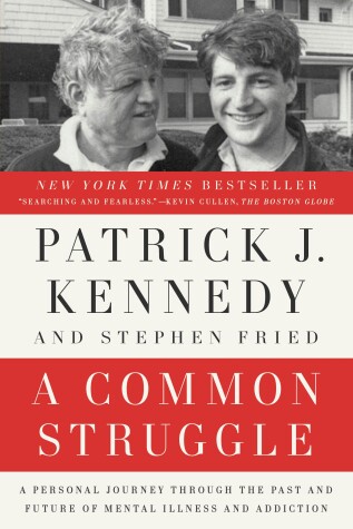 Book cover for A Common Struggle