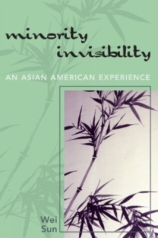 Cover of Minority Invisibility