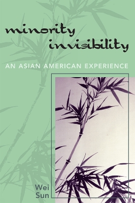 Book cover for Minority Invisibility