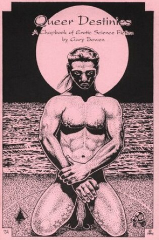 Cover of Queer Destinies