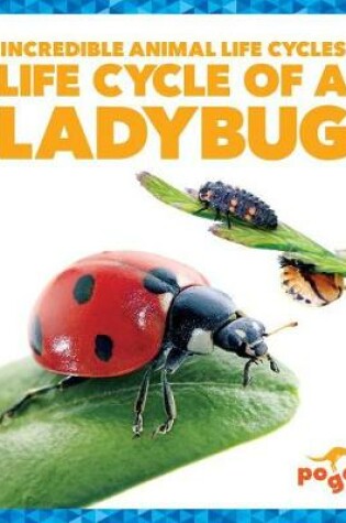 Cover of Life Cycle of a Ladybug