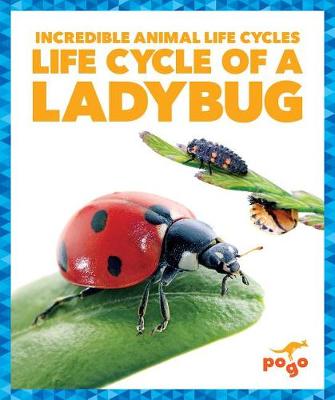 Book cover for Life Cycle of a Ladybug