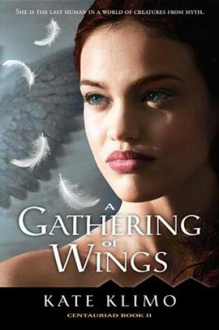 Cover of A Gathering of Wings