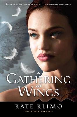 Book cover for A Gathering of Wings