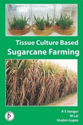 Cover of Tissue Culture Based Sugarcane Farming