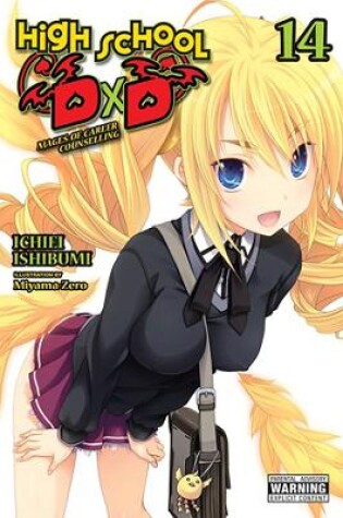 Cover of High School DxD, Vol. 14 (light novel)