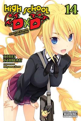 Book cover for High School DxD, Vol. 14 (light novel)