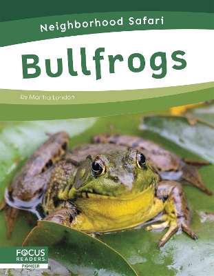 Book cover for Neighborhood Safari: Bullfrogs