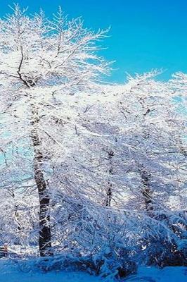 Book cover for 2019 Weekly Planner Winter Theme Snowy Forest 134 Pages