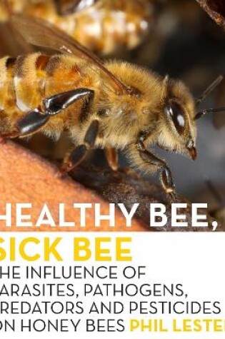 Cover of Healthy Bee, Sick Bee