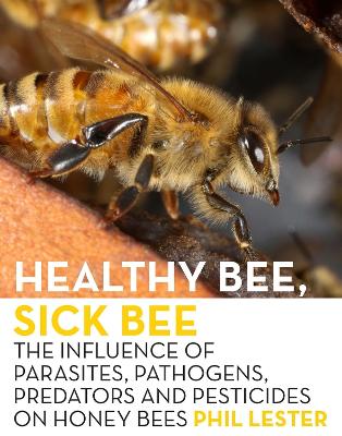 Book cover for Healthy Bee, Sick Bee