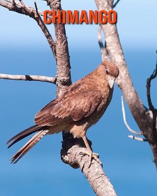 Book cover for Chimango