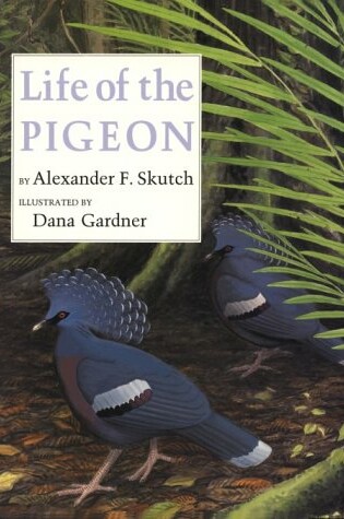 Cover of Life of the Pigeon