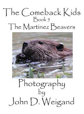 Book cover for The Comeback Kids, Book 5, The Martinez Beavers