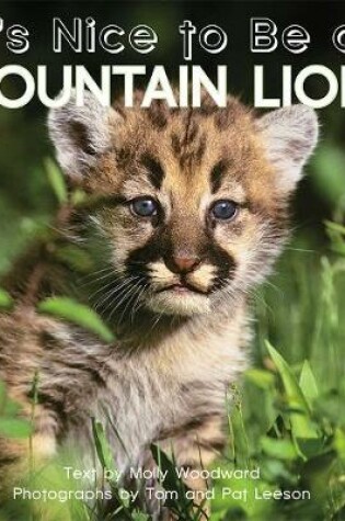 Cover of It's Nice to Be a Mountain Lion